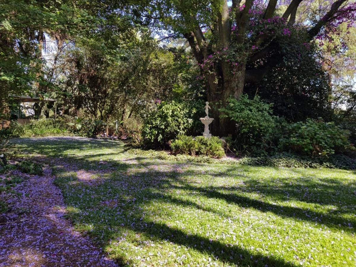 Bed and Breakfast The Great Gatsby Houghton Johannesburg Zewnętrze zdjęcie